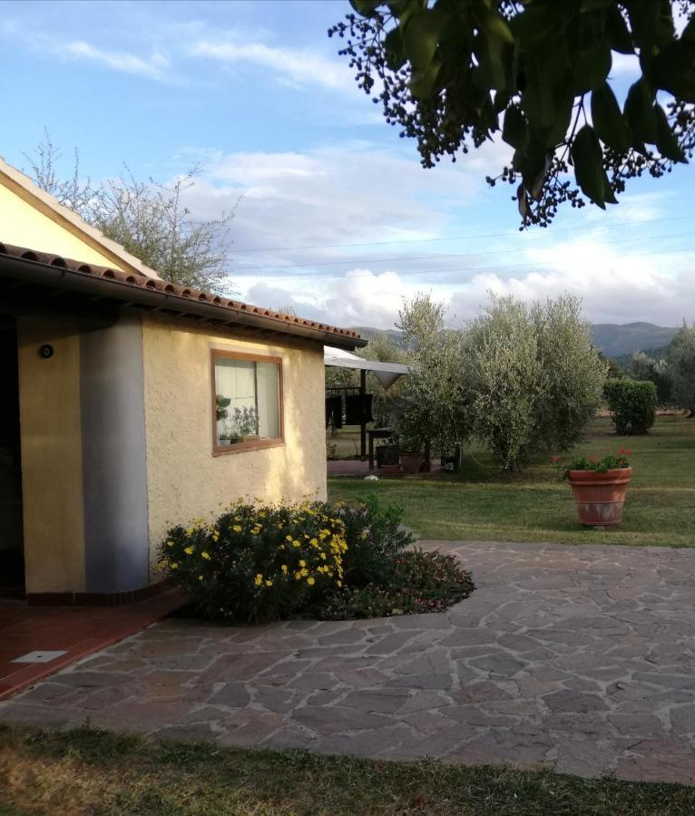 Villetta 3 Km Dal Mare Castagneto Carducci Extérieur photo